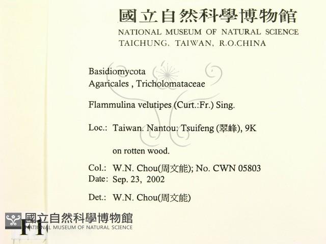 登錄號:F0016304藏品圖，第2張