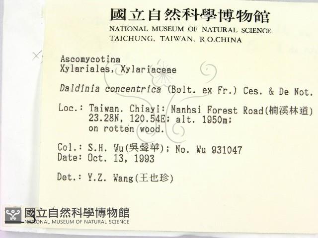 登錄號:F0001304藏品圖，第2張
