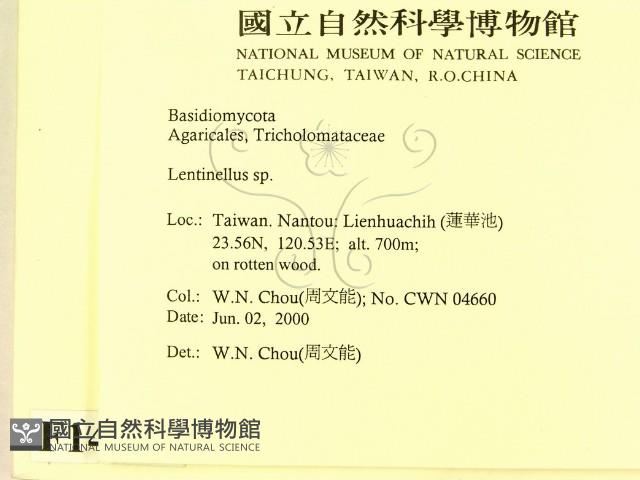 登錄號:F0014304藏品圖，第2張