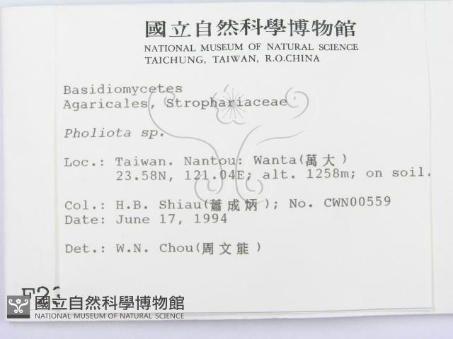 登錄號:F0002304藏品圖，第2張