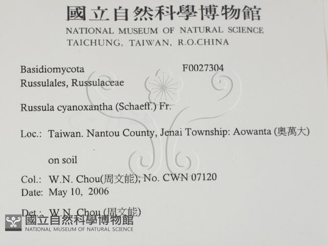 登錄號:F0027304藏品圖，第2張