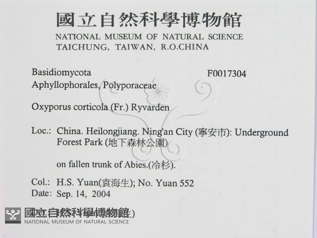 登錄號:F0017304藏品圖，第2張