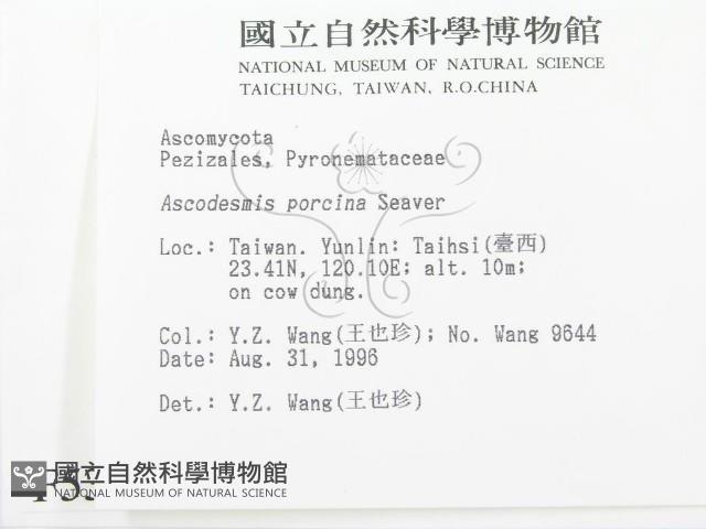 登錄號:F0005304藏品圖，第2張