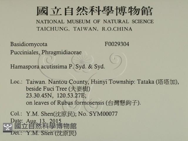 登錄號:F0029304藏品圖，第2張