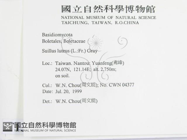 登錄號:F0013304藏品圖，第2張
