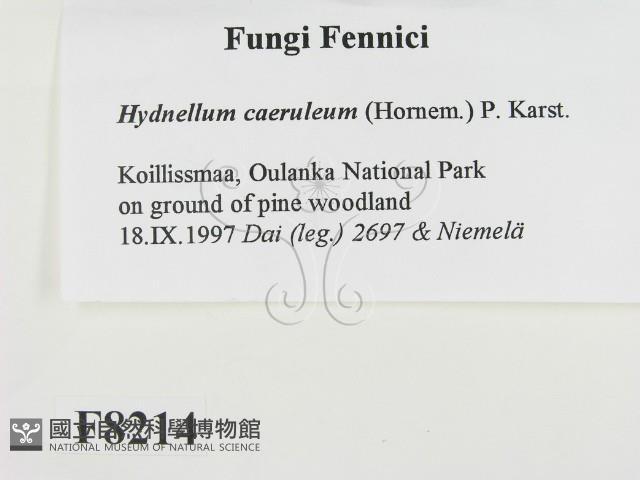 登錄號:F0008214藏品圖，第2張