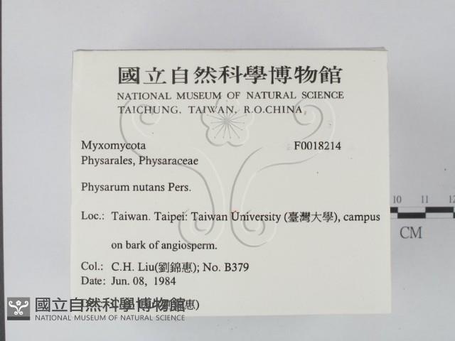 登錄號:F0018214藏品圖，第2張