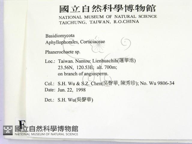 顯絲菌屬藏品圖，第2張