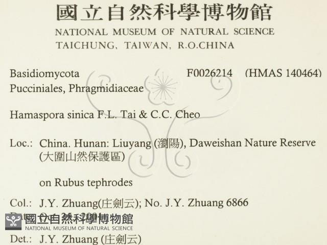 登錄號:F0026214藏品圖，第2張