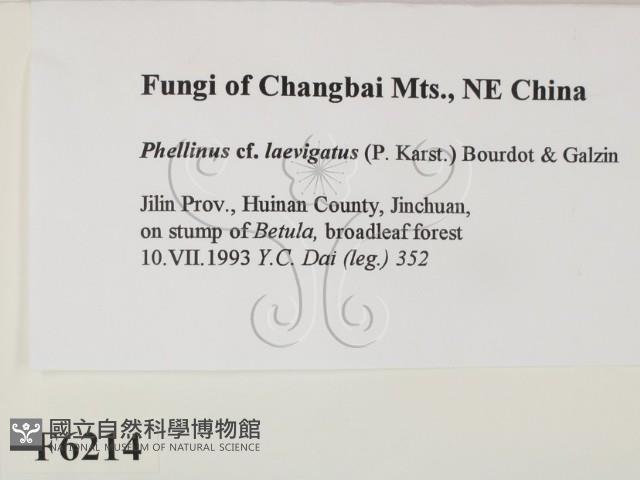 登錄號:F0006214藏品圖，第2張