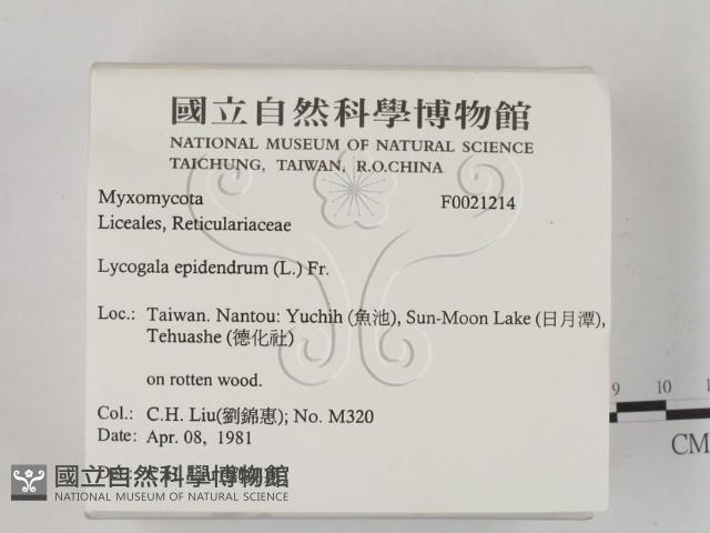 登錄號:F0021214藏品圖，第2張