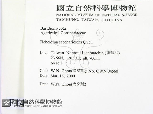 登錄號:F0014214藏品圖，第2張