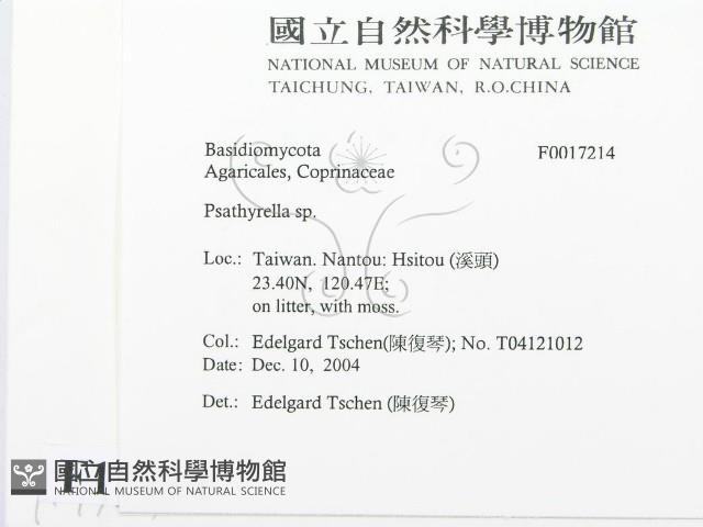 登錄號:F0017214藏品圖，第2張