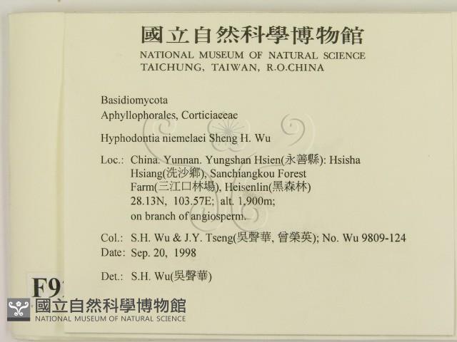 登錄號:F0009214藏品圖，第2張