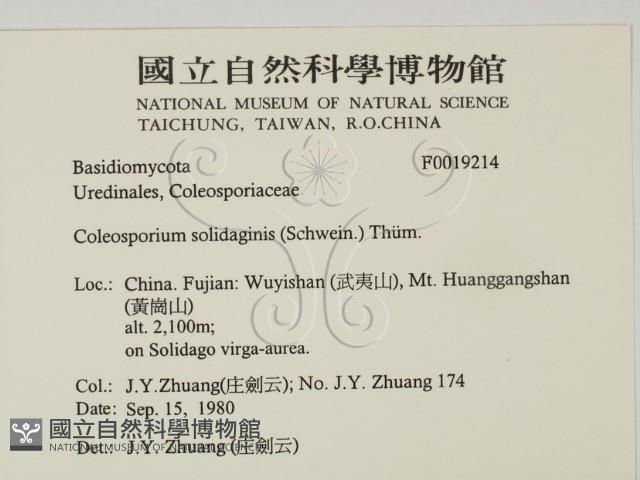 登錄號:F0019214藏品圖，第2張