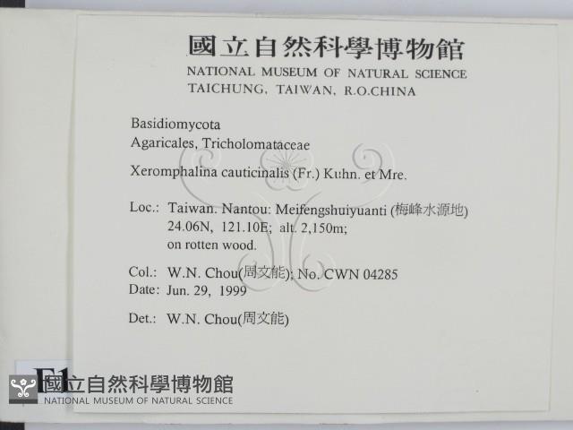 登錄號:F0013214藏品圖，第2張