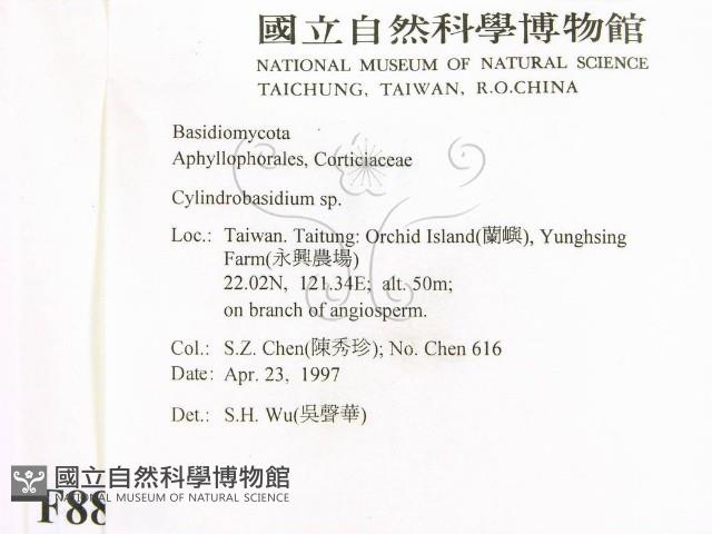 登錄號:F0008814藏品圖，第2張