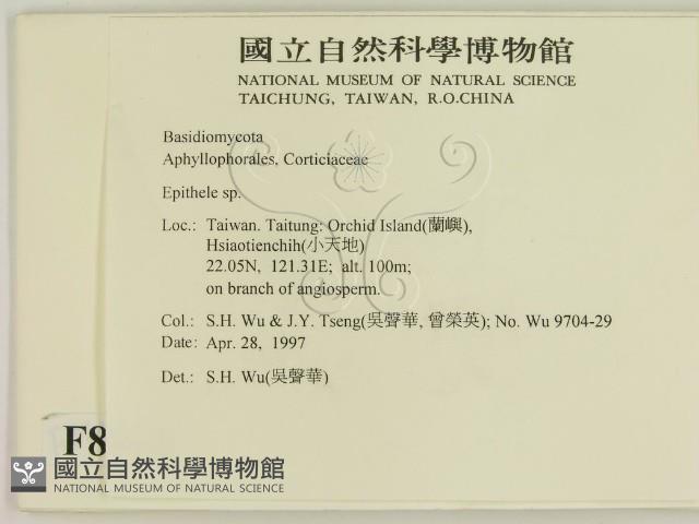 登錄號:F0008614藏品圖，第2張