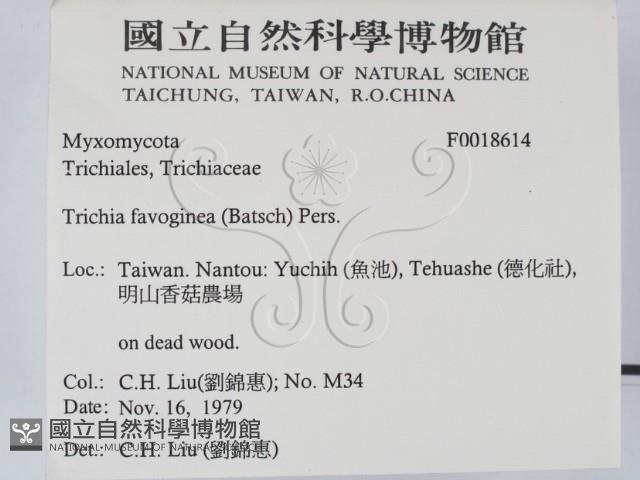 登錄號:F0018614藏品圖，第2張
