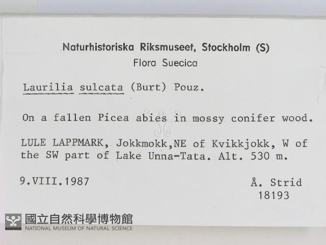 登錄號:F0004614藏品圖，第2張