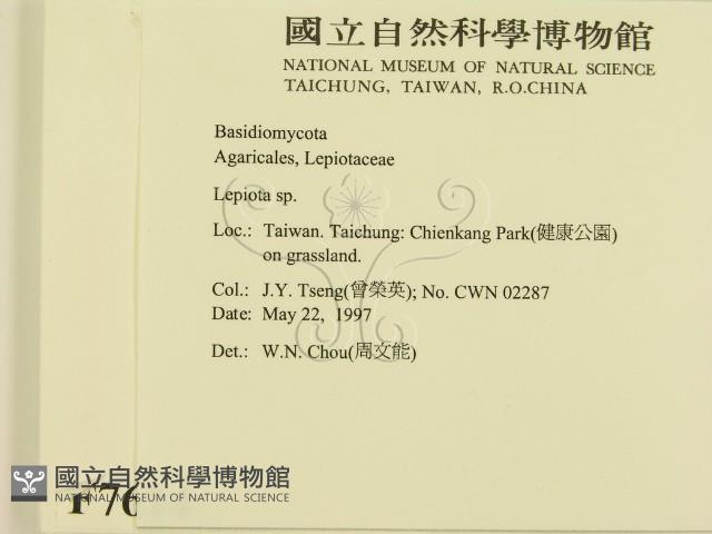 登錄號:F0007614藏品圖，第2張