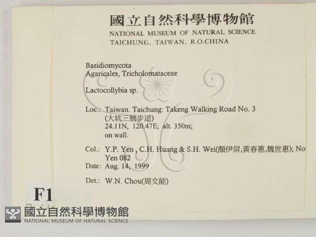 登錄號:F0015614藏品圖，第2張