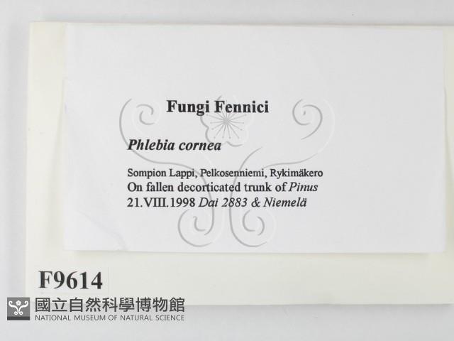 Accession Number:F0009614 Collection Image, Figure 2, Total 2 Figures