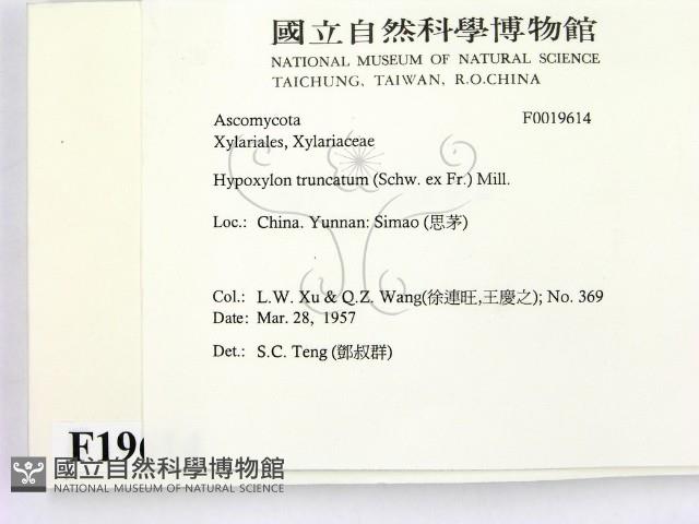 登錄號:F0019614藏品圖，第2張