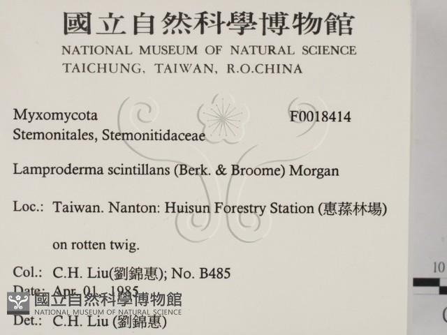 登錄號:F0018414藏品圖，第2張
