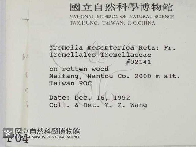 登錄號:F0000414藏品圖，第2張