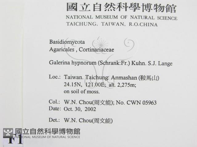 登錄號:F0016414藏品圖，第2張
