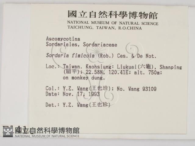 登錄號:F0001414藏品圖，第2張
