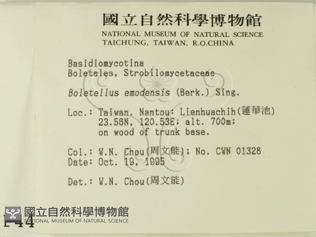 登錄號:F0004414藏品圖，第2張