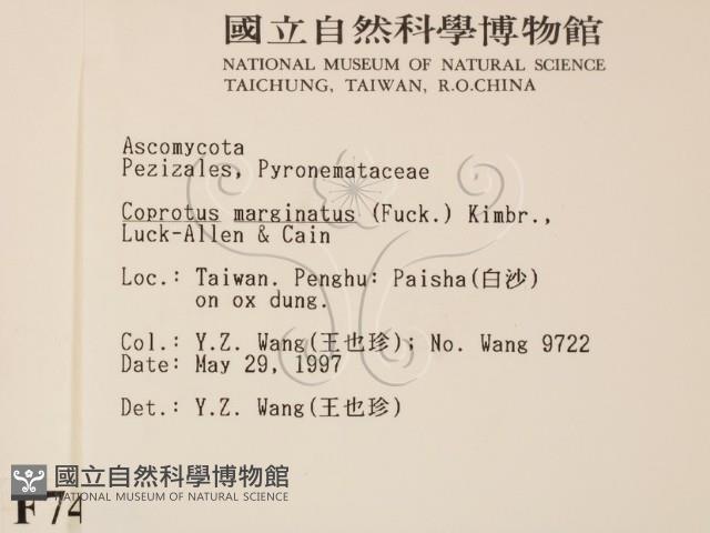 登錄號:F0007414藏品圖，第2張