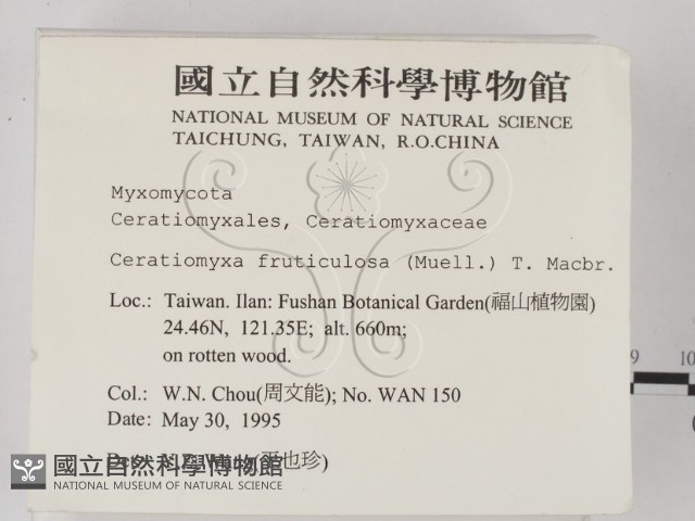 登錄號:F0003414藏品圖，第2張