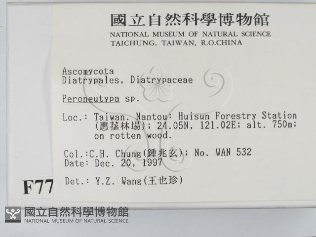 登錄號:F0007714藏品圖，第2張