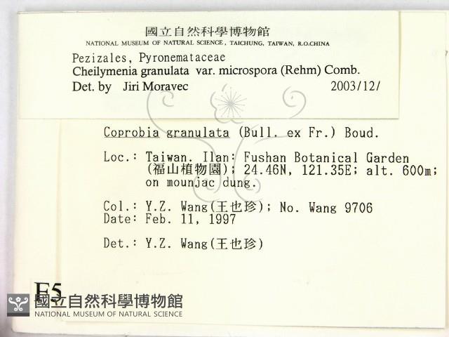 登錄號:F0005714藏品圖，第2張