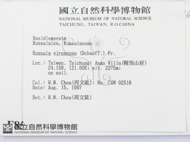 登錄號:F0008514藏品圖，第2張