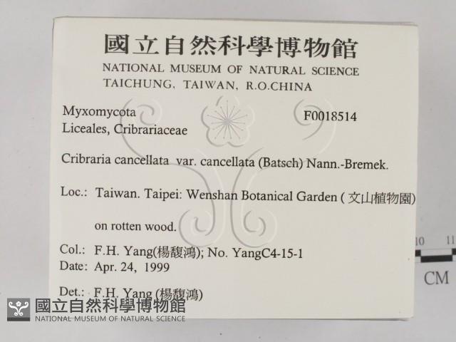 登錄號:F0018514藏品圖，第2張
