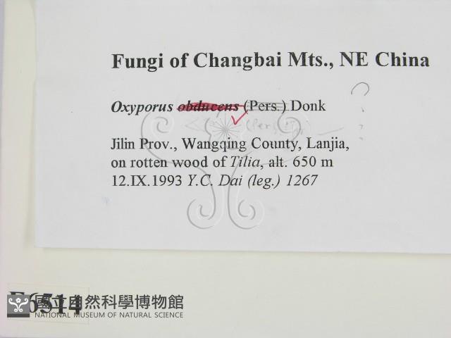 登錄號:F0006514藏品圖，第2張