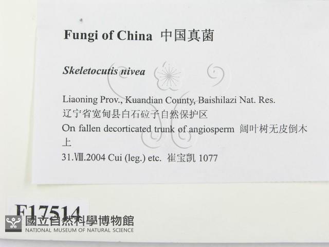 登錄號:F0017514藏品圖，第2張