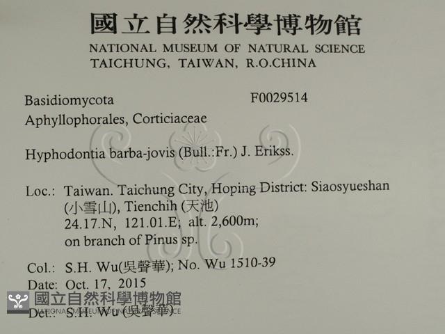 登錄號:F0029514藏品圖，第2張