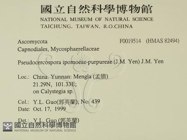登錄號:F0019514藏品圖，第2張