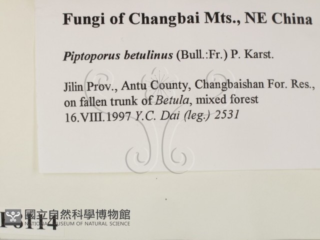 登錄號:F0008114藏品圖，第2張