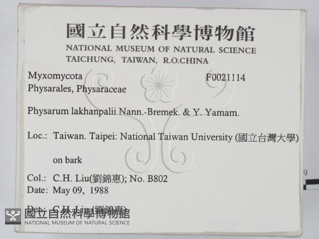 登錄號:F0021114藏品圖，第2張