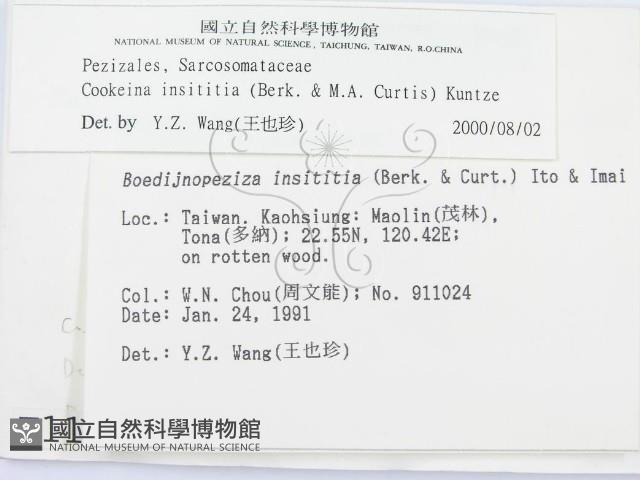 登錄號:F0001114藏品圖，第2張