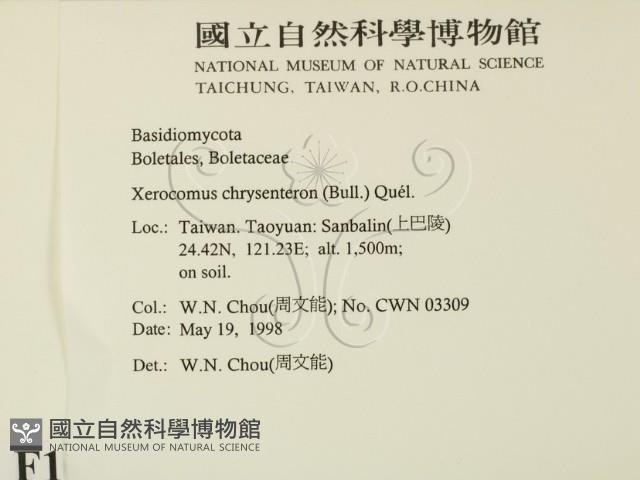 登錄號:F0011114藏品圖，第2張