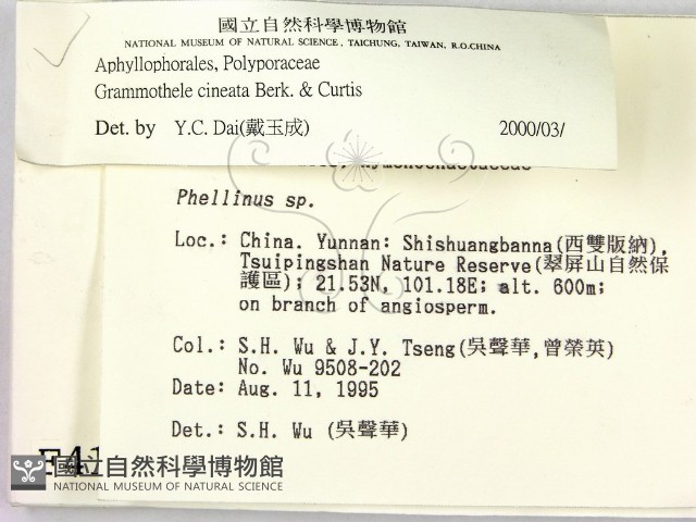 登錄號:F0004114藏品圖，第2張