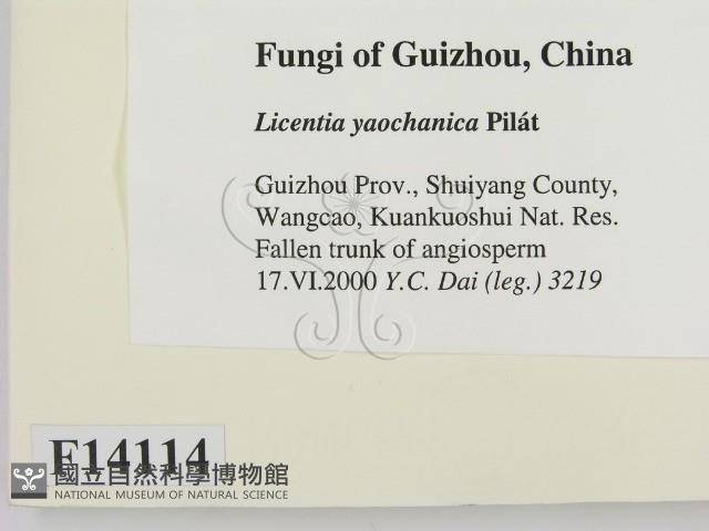 登錄號:F0014114藏品圖，第2張