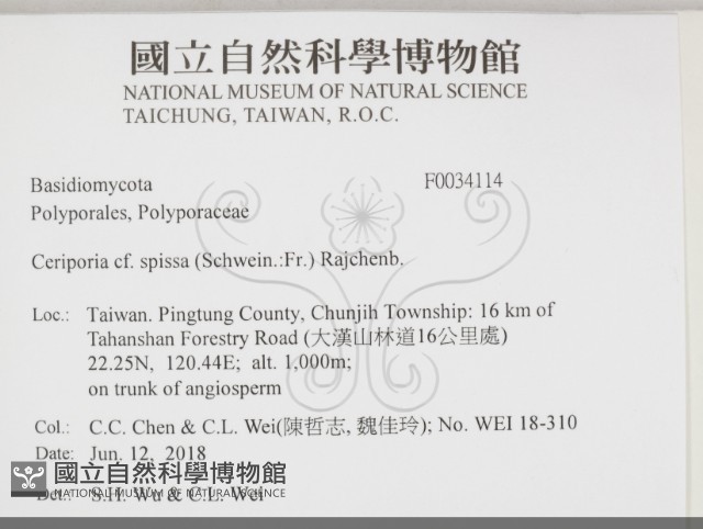 登錄號:F0034114藏品圖，第2張